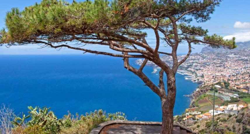 Berco Funchal Villa Eksteriør bilde